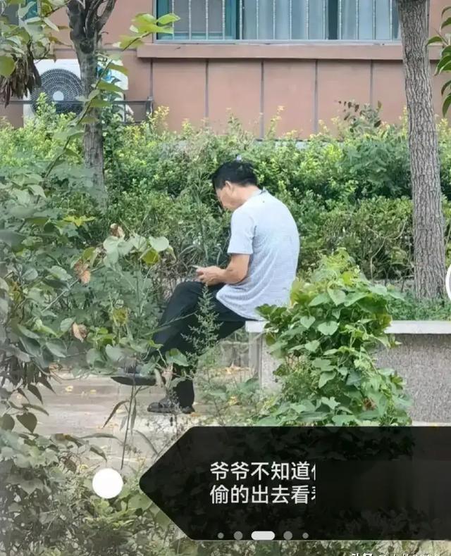 5名中国公民在美车祸中遇难，悲痛与反思