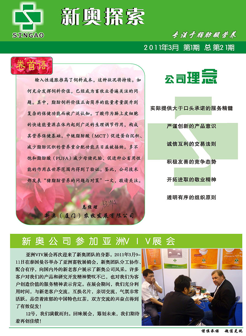 2025年新澳最精准正最精准大全,全面释义、专家解析解释与落实与警惕虚假宣传 解析与释义
